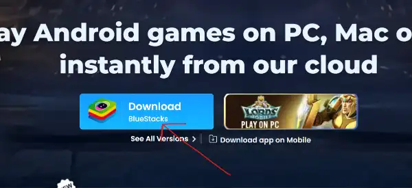 BlueStacks website showing the download button