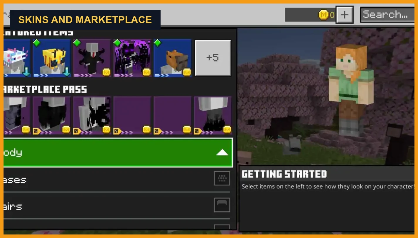 Action and Stuff skins and Marketplace snapshot reference image