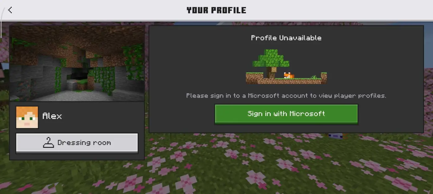 Action and Stuff Features, Skins, and Expressions 2 Minecraft Bedrock profile screen showing profile unavailable with a sign-in button next to the Dressing Room tab